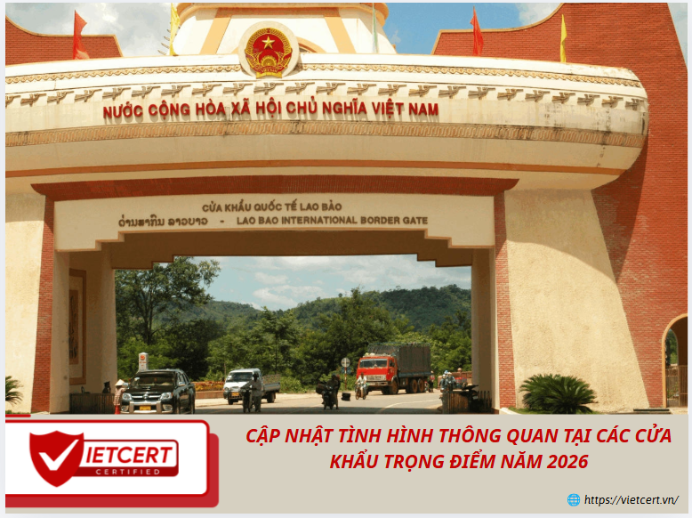 Cập nhật tình hình thông quan tại các cửa khẩu trọng điểm năm 2026