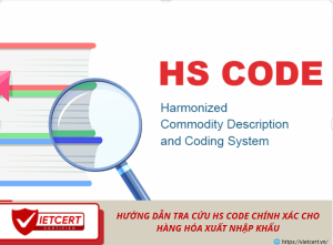 Hướng dẫn tra cứu HS Code chính xác cho hàng hóa xuất nhập khẩu