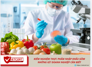 Kiểm nghiệm thực phẩm nhập khẩu gồm những gì? Doanh nghiệp cần biết