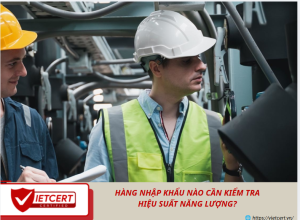 Hàng nhập khẩu nào cần kiểm tra hiệu suất năng lượng?