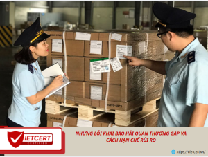 Những lỗi khai báo hải quan thường gặp và cách hạn chế rủi ro
