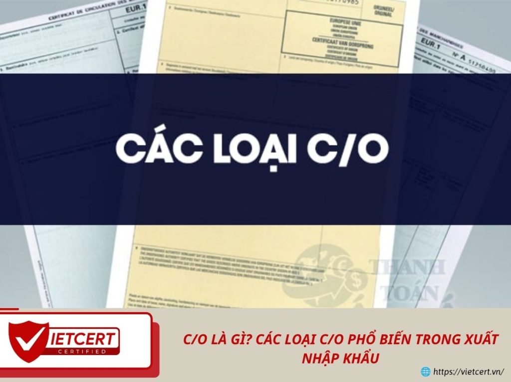 C/O là gì? Các loại C/O phổ biến trong xuất nhập khẩu