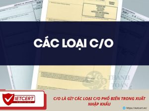 C/O là gì? Các loại C/O phổ biến trong xuất nhập khẩu