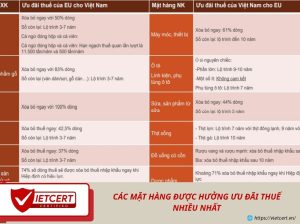 Các mặt hàng được hưởng ưu đãi thuế nhiều nhất