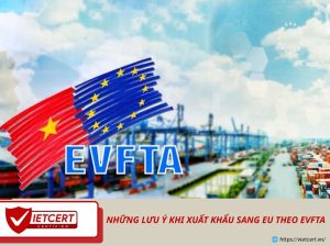 Những lưu ý khi xuất khẩu sang EU theo EVFTA