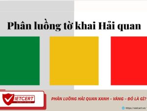 Phân luồng hải quan xanh – vàng – đỏ là gì?